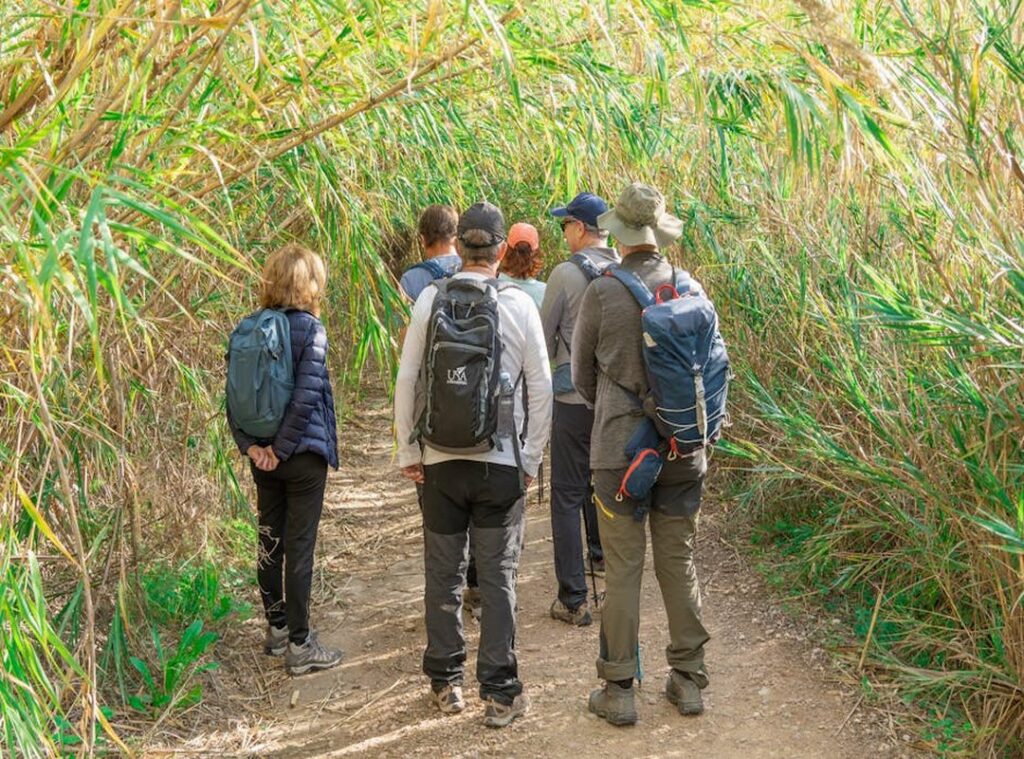 Alawi trails navigation