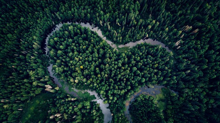 Stunning aerial shot of a river winding through lush forest in Komi Republic, Russia.